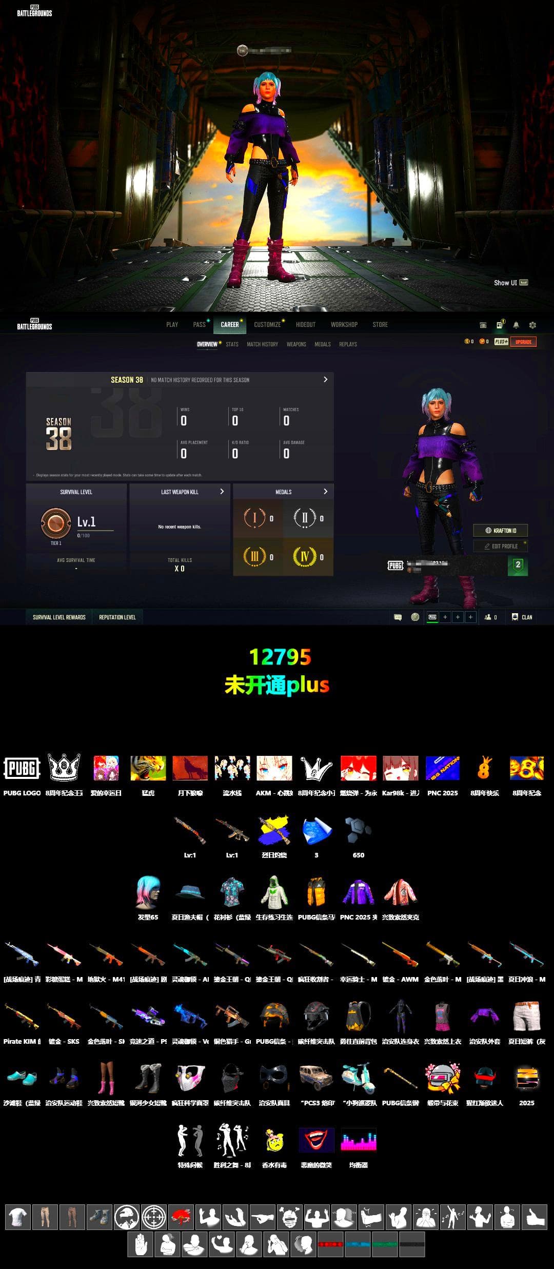 Pirate KIM's SKS - 2