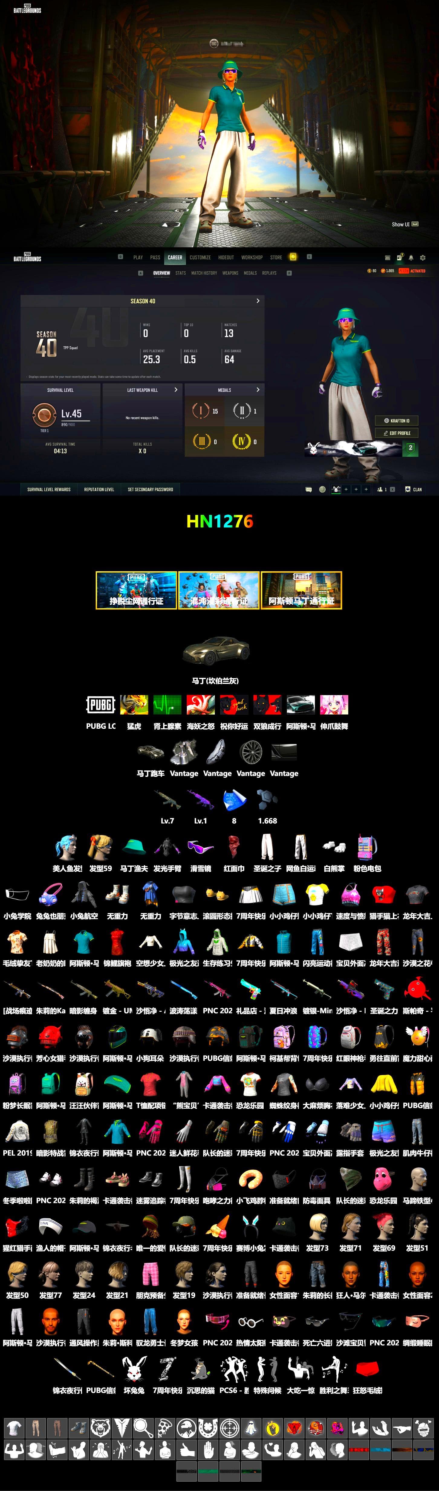 «V12 Vantage Roadster» Sports Car, Snow Glasses, PLAYERUNKNOWN's Bandana, Polar Bear Feet, Bunny Academy Sailor Gloves, PEL 2019 Phase 2 Jacket, Silver Plate — Mini14, Grizz's Mask, «DBX707» SUV - 2