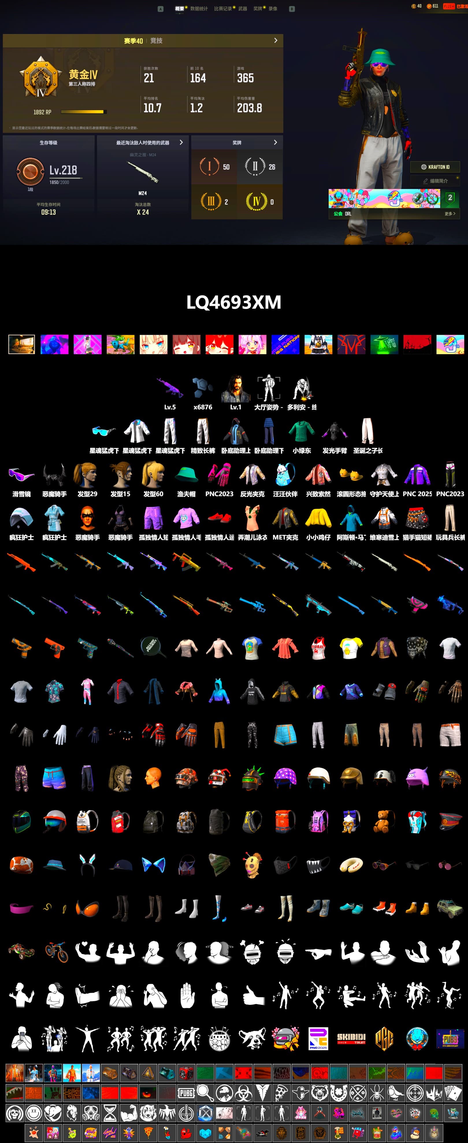 Snow Glasses, Demon Biker Horns, Harley Quinn's Hair, XingHun's Tiger Strike Jacket, XingHun's Tiger Strike Pants, Exquisite Pants, XingHun's Tiger Strike Snow Glasses, MET Asia Series Bomber Jacket, Grizz's Mask - 2