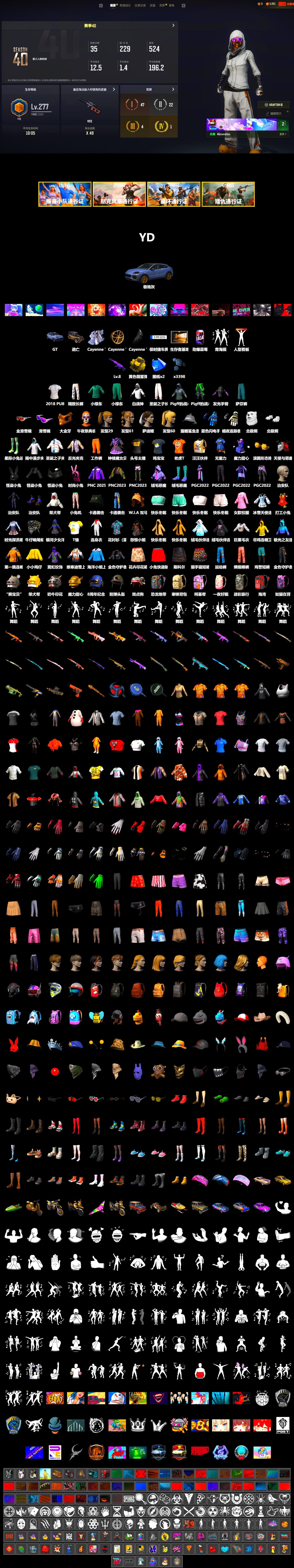 «Cayenne Turbo GT» SUV, Snow Glasses, PGC 2021 Contingent Chaos Mask, WackyJacky101's Jacket, Polar Bear Feet, Harley Quinn's Hair, Exquisite Pants, Pigff's Tactical Striker Jacket, XiongDi Hoodie, Jijing's Shorts, StreamerOne, Training Jacket (Green), Full Autumn — M416, Blue Thunder Gloves, Grizz's Mask, 2018 PUBG ALL-STAR T-shirt (Korean), JiBaoBa - 2