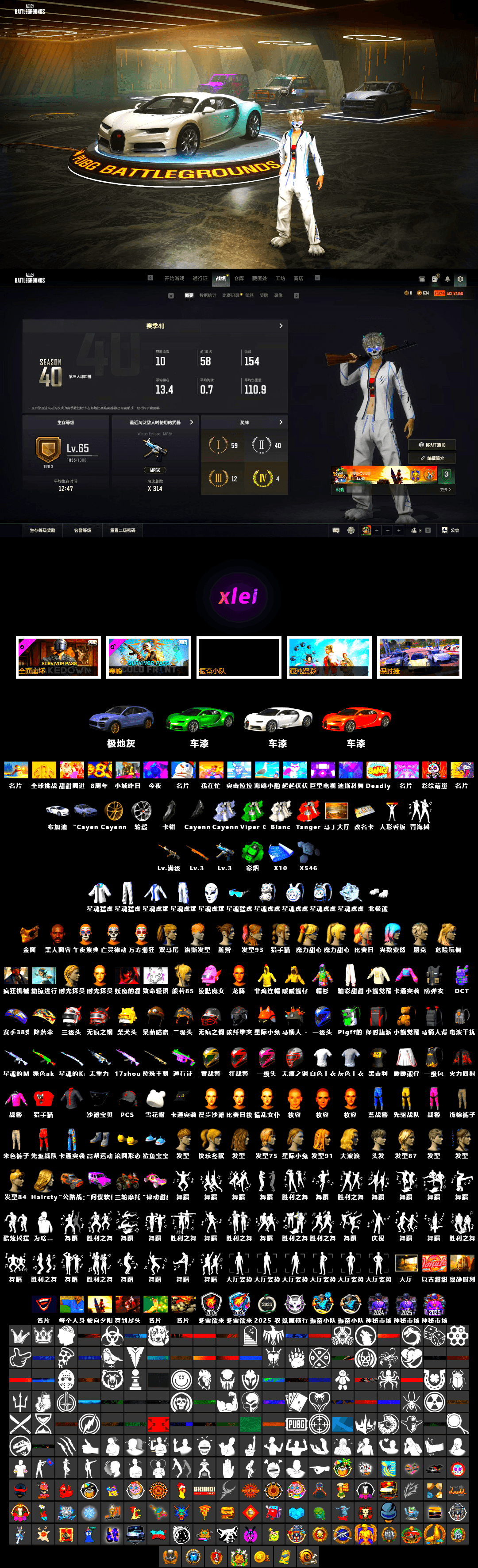 Emerald Smoke Grenade [10], Demon Hunter — ACE32, Winter Eclipse — MP5K, «Chiron» Sports Car, Harley Quinn's Hair, Showroom, Jonathan Kamau, PGC 2021 Contingent Chaos Mask, «Chiron» Sports Car, Final Serenade — M24, «Cayenne Turbo GT» SUV - 2