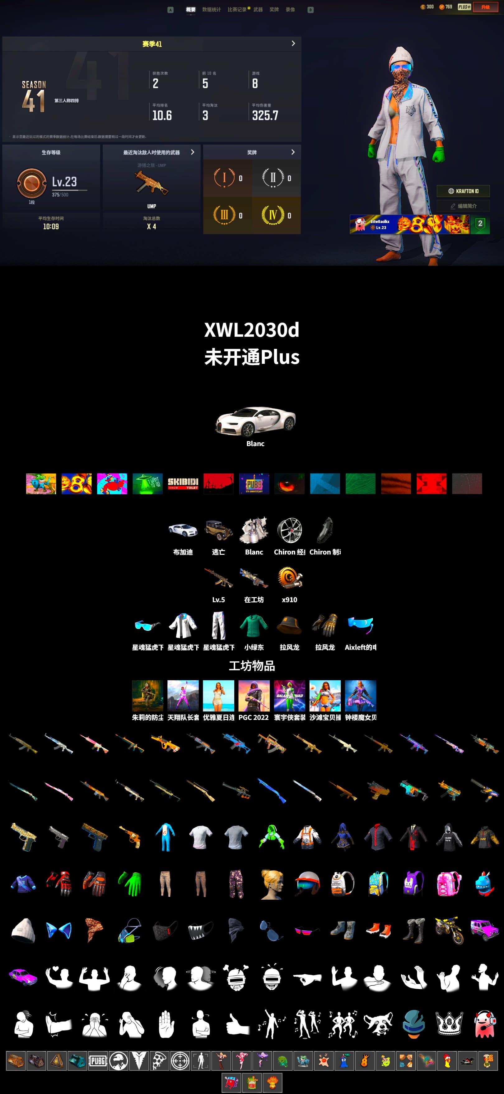 «Chiron» Sports Car, XingHun's Tiger Strike Jacket, XingHun's Tiger Strike Pants, Aixleft's Gaming Streamer Hoodie, XingHun's Tiger Strike Snow Glasses, Grizz's Mask - 2