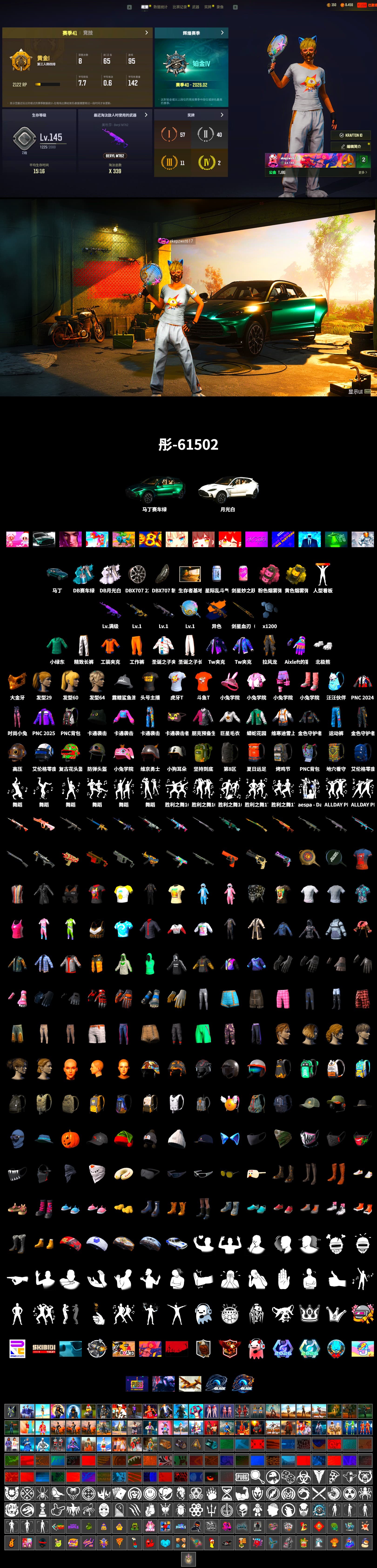 «DBX707» SUV, PGC 2021 Contingent Chaos Mask, Work Jacket, Polar Bear Feet, Harley Quinn's Hair, Bunny Academy Sailor Gloves, Aixleft's Gaming Streamer Hoodie, Exquisite Pants, StreamerOne, Full Autumn — M416, Grizz's Mask, HUYA T-shirt, DOUYU T-shirt, «DBX707» SUV - 2