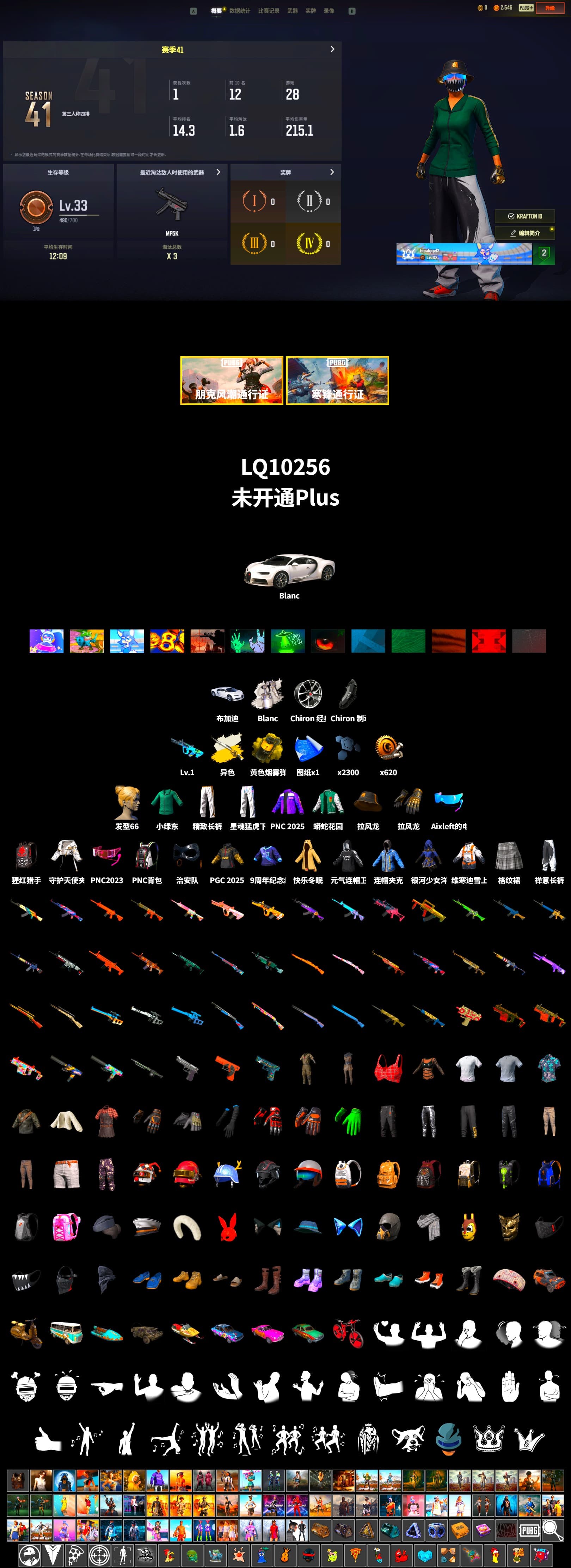 «Chiron» Sports Car, XingHun's Tiger Strike Pants, Aixleft's Gaming Streamer Hoodie, Exquisite Pants, Grizz's Mask - 2