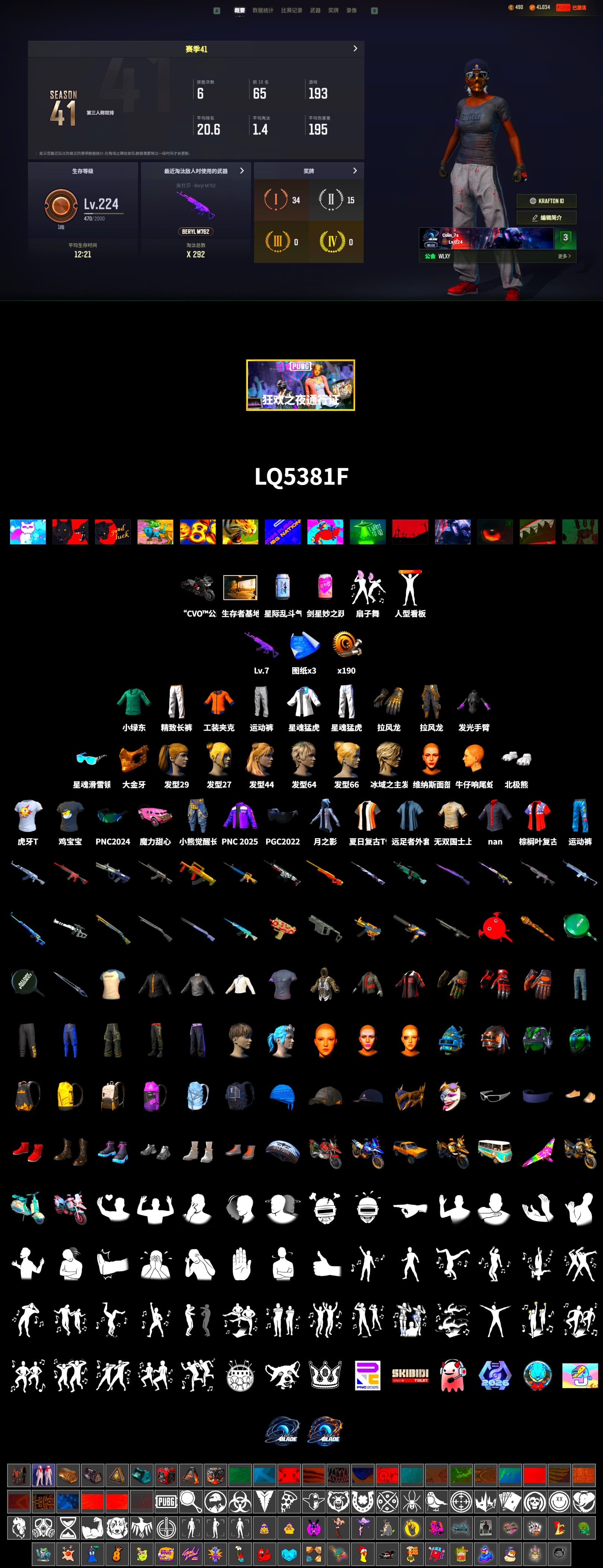 PGC 2021 Contingent Chaos Mask, Polar Bear Feet, Harley Quinn's Hair, XingHun's Tiger Strike Jacket, XingHun's Tiger Strike Pants, Exquisite Pants, HUYA T-shirt - 2