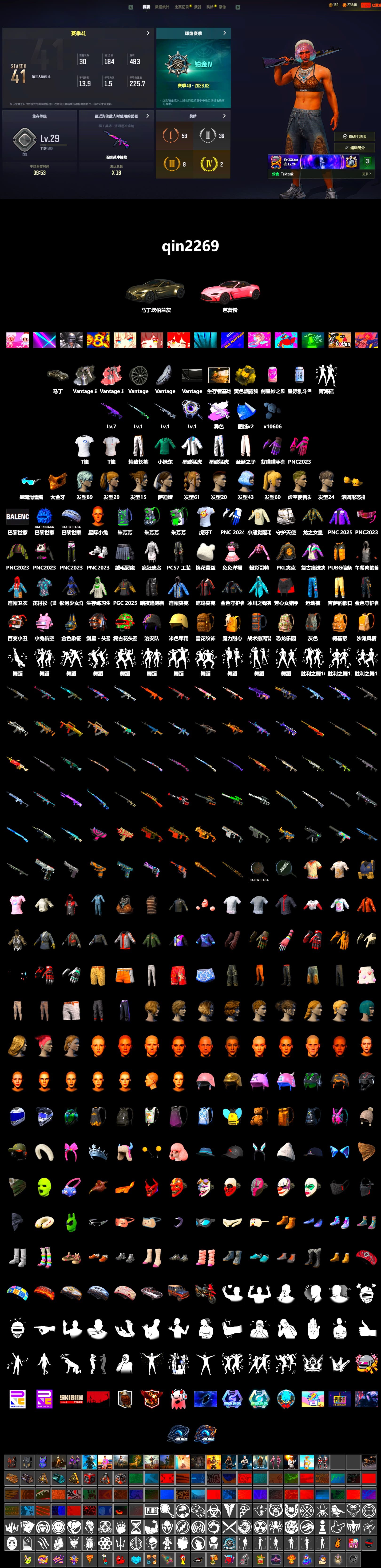 «V12 Vantage Roadster» Sports Car, PGC 2021 Contingent Chaos Mask, Harley Quinn's Hair, XingHun's Tiger Strike Jacket, XingHun's Tiger Strike Pants, PKL 2019 Phase 2 Jacket, Exquisite Pants, Full Autumn — M416, 2018 PUBG ALL-STAR T-shirt (Korean), HUYA T-shirt - 2