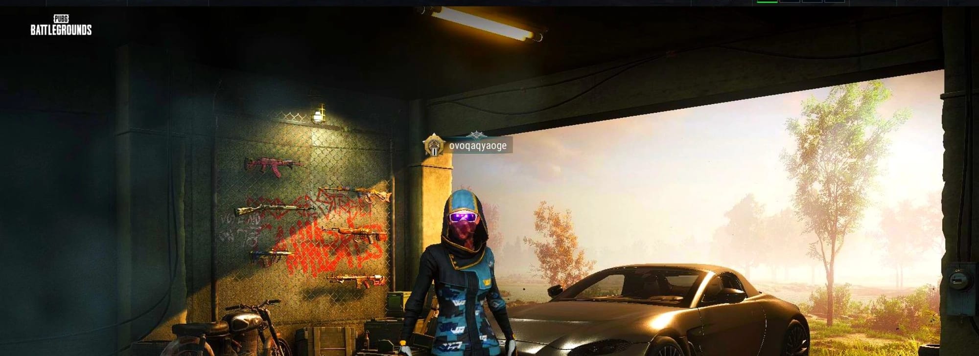 Buzzkill — SLR, The Joker's Hair, PGC 2021 Contingent Chaos Mask, Snow Glasses, Harley Quinn's Hair, Bunny Academy Gloves, Rash Beixli Xtra Tough Jacket, Bunny Academy Sailor Gloves, Aixleft's Gaming Streamer Hoodie