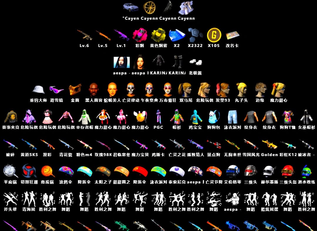 «Cayenne Turbo GT» SUV, Jonathan Kamau, PGC 2021 Contingent Chaos Mask, Snow Glasses